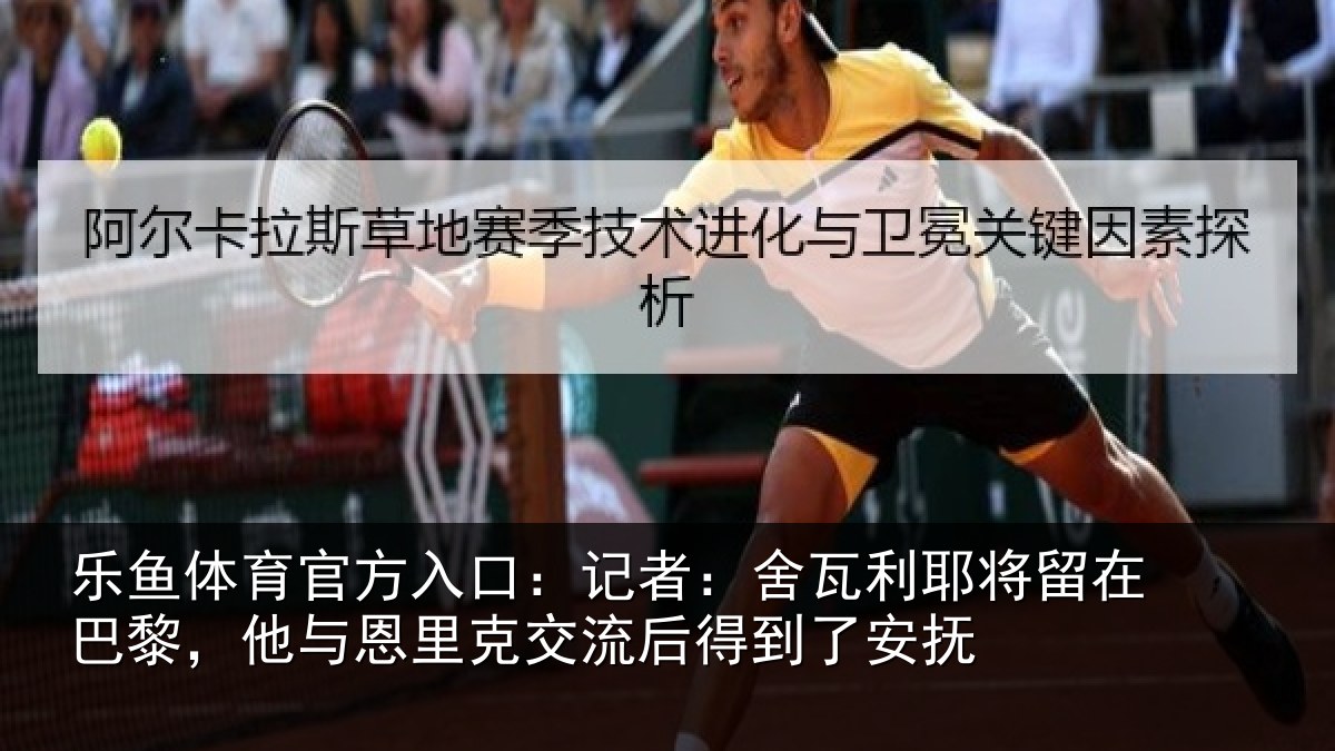 乐鱼体育官方入口:记者:舍瓦相关情况情况安抚