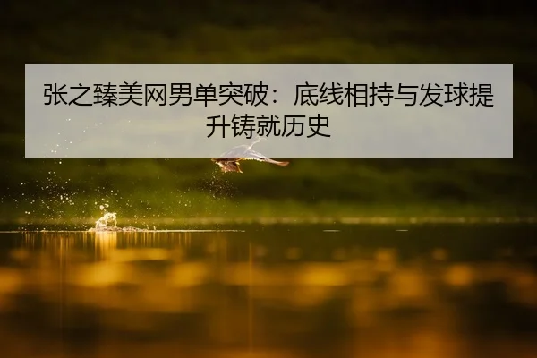 张之臻美网男单突破：底线相持与发球提升铸就历史